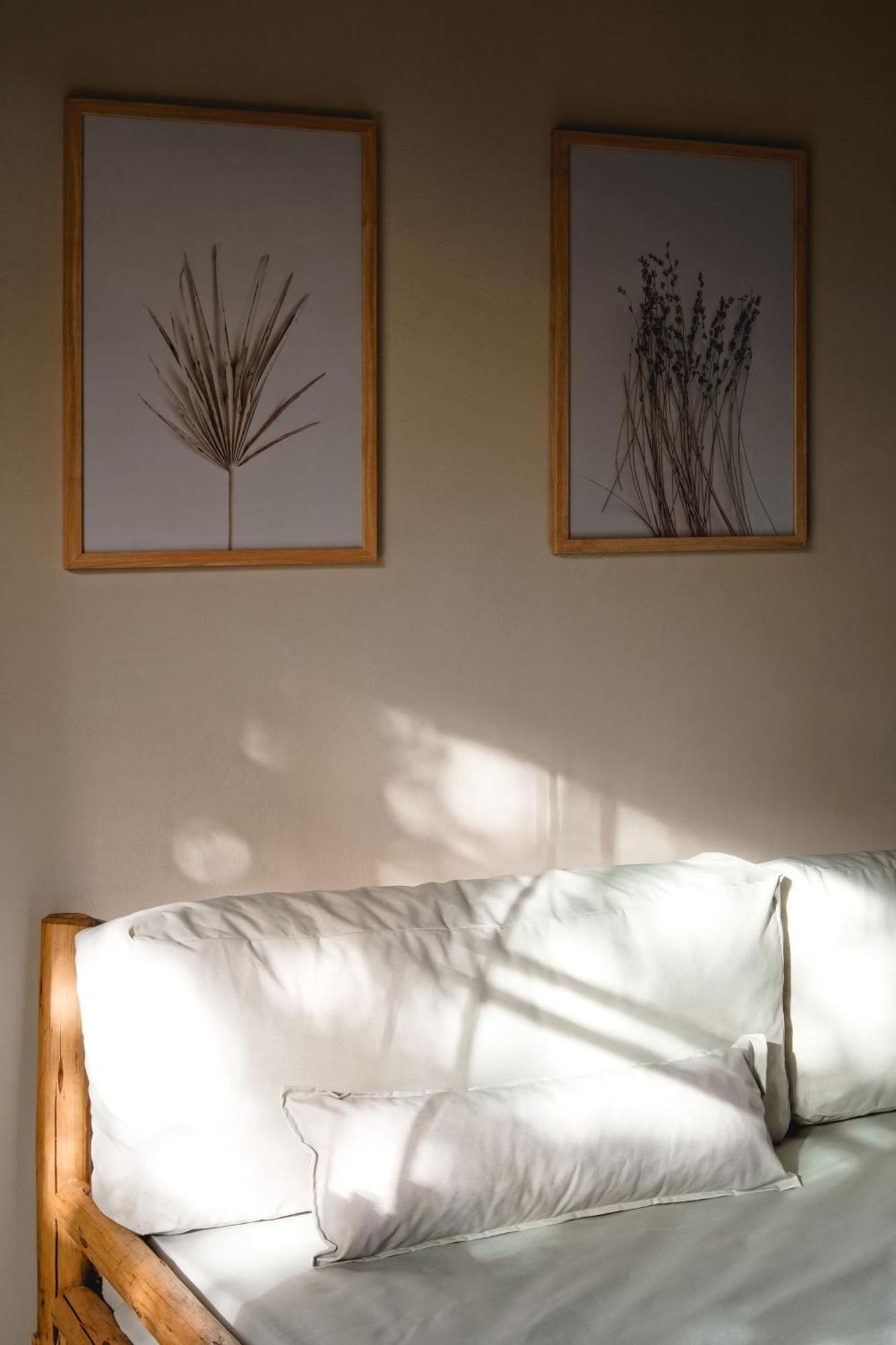 Nomads Flats Apartment Itacare Bagian luar foto